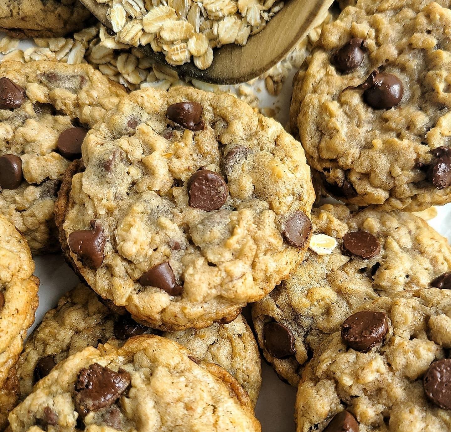 Oatmeal Choc. Chip CookieZ