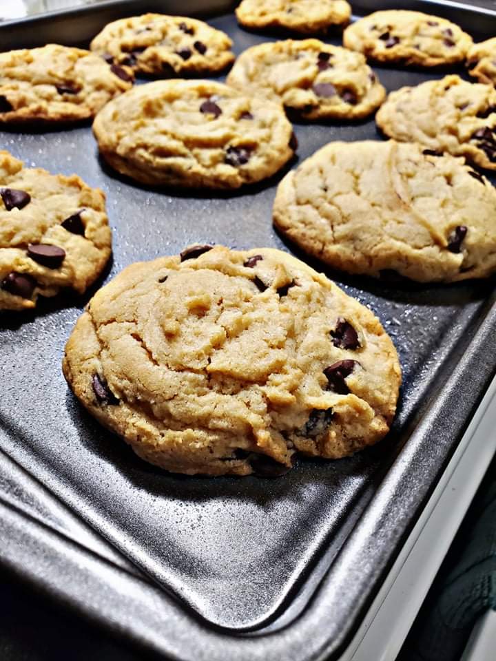 Chocolate Chip CookieZ